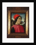 Portrait of a man, c.1490 by Domenico Ghirlandaio