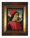 Portrait of a man, c.1490 by Domenico Ghirlandaio