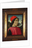 Portrait of a man, c.1490 by Domenico Ghirlandaio