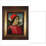 Portrait of a man, c.1490 by Domenico Ghirlandaio