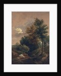 The edge of a common, c.1815 by John Crome