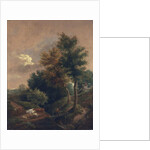 The edge of a common, c.1815 by John Crome