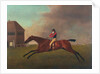 Baronet with Sam Chifney Up, 1791 by George Stubbs