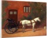 Horse hitched to a jaunting cart by English School