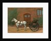 Horse hitched to a jaunting cart by English School