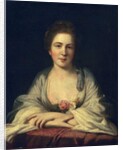 Anne Irwin, 1761 by Joshua Reynolds