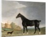 A dark bay horse and a terrier in a landscape by Edwin Cooper