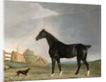 A dark bay horse and a terrier in a landscape by Edwin Cooper
