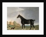 A dark bay horse and a terrier in a landscape by Edwin Cooper