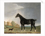 A dark bay horse and a terrier in a landscape by Edwin Cooper