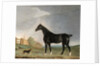A dark bay horse and a terrier in a landscape by Edwin Cooper