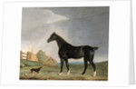 A dark bay horse and a terrier in a landscape by Edwin Cooper