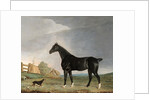A dark bay horse and a terrier in a landscape by Edwin Cooper