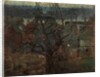The Charles River, Boston, c.1910 by Paul Cornoyer