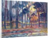 Woods near Oele, 1908 by Piet Mondrian