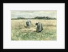 The Harvest by Anton Mauve