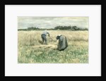 The Harvest by Anton Mauve