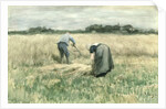The Harvest by Anton Mauve