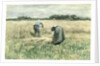 The Harvest by Anton Mauve