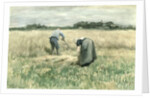 The Harvest by Anton Mauve