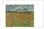 Field of Poppies, Auvers-sur-Oise, 1890 by Vincent van Gogh