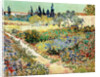 The Garden at Arles, 1888 by Vincent van Gogh