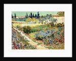 The Garden at Arles, 1888 by Vincent van Gogh
