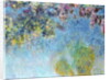 Wisteria, 1920-25 by Claude Monet