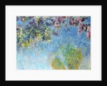 Wisteria, 1920-25 by Claude Monet