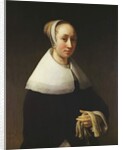 Portrait of a lady, 1653 by Willem Drost