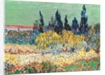 The Garden at Arles, detail of the cypress trees, 1888 by Vincent van Gogh