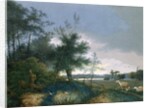 Landscape with a fox chasing geese by Joseph August Knip