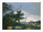 Landscape with a fox chasing geese by Joseph August Knip