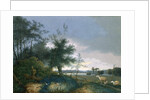 Landscape with a fox chasing geese by Joseph August Knip