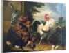 Farmyard fowl by Melchior de Hondecoeter