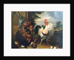 Farmyard fowl by Melchior de Hondecoeter