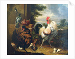 Farmyard fowl by Melchior de Hondecoeter