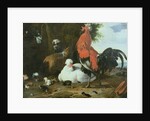 Farmyard fowls with pigeons by Melchior de Hondecoeter