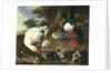 Farmyard ducks by Melchior de Hondecoeter