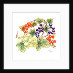 Black and Red Currants with Green Grapes, 1986 by Nell Hill