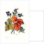 Bramble by Nell Hill