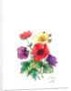 Anemones, 2007 by Nell Hill