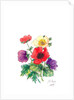 Anemones, 2007 by Nell Hill