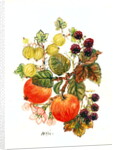 Brambles, Apples and Grapes by Nell Hill