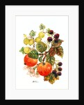 Brambles, Apples and Grapes by Nell Hill