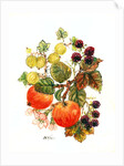 Brambles, Apples and Grapes by Nell Hill