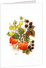 Brambles, Apples and Grapes by Nell Hill