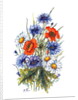 Cornflower, Poppy and Ox-eye Daisy by Nell Hill