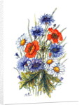 Cornflower, Poppy and Ox-eye Daisy by Nell Hill