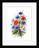Cornflower, Poppy and Ox-eye Daisy by Nell Hill